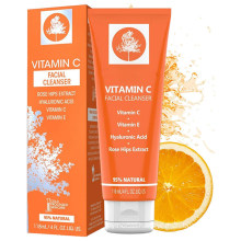 Daily Cleansing Foam Vitamin C Facial Cleanser with Hyaluronic Acid
